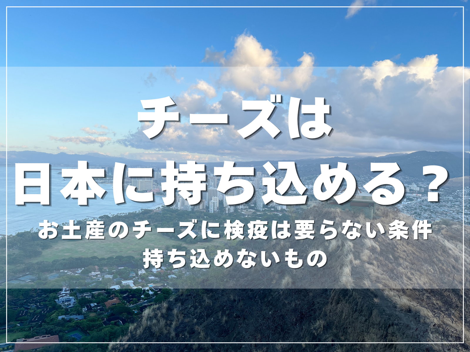 チーズは日本に持ち込める？お土産のチーズに検疫は要らない条件と持ち込めないもの【2026年版】