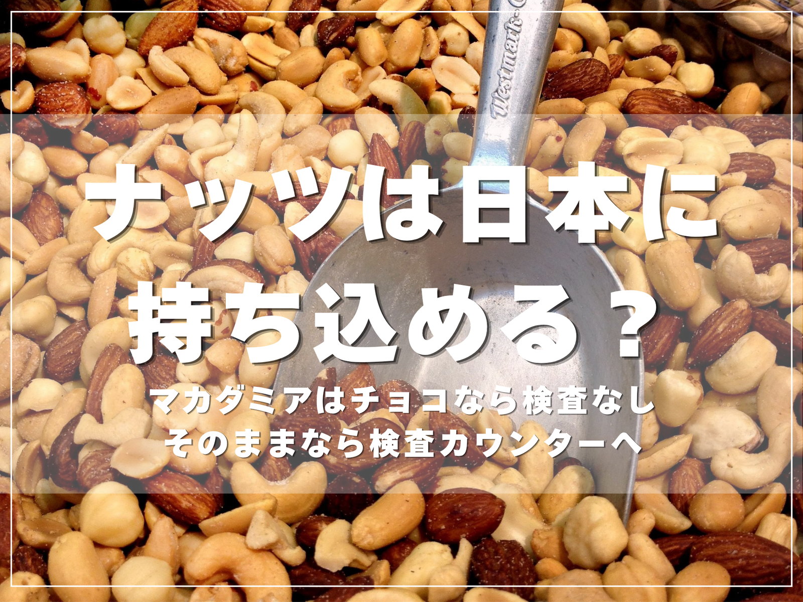 ナッツは日本に持ち込める？マカダミアはチョコなら検査なし・そのままなら検査カウンターへのアイキャッチ