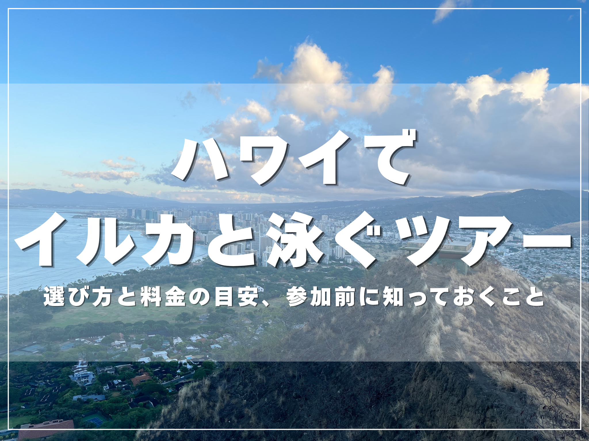 ハワイの海とイルカをイメージしたアイキャッチ画像