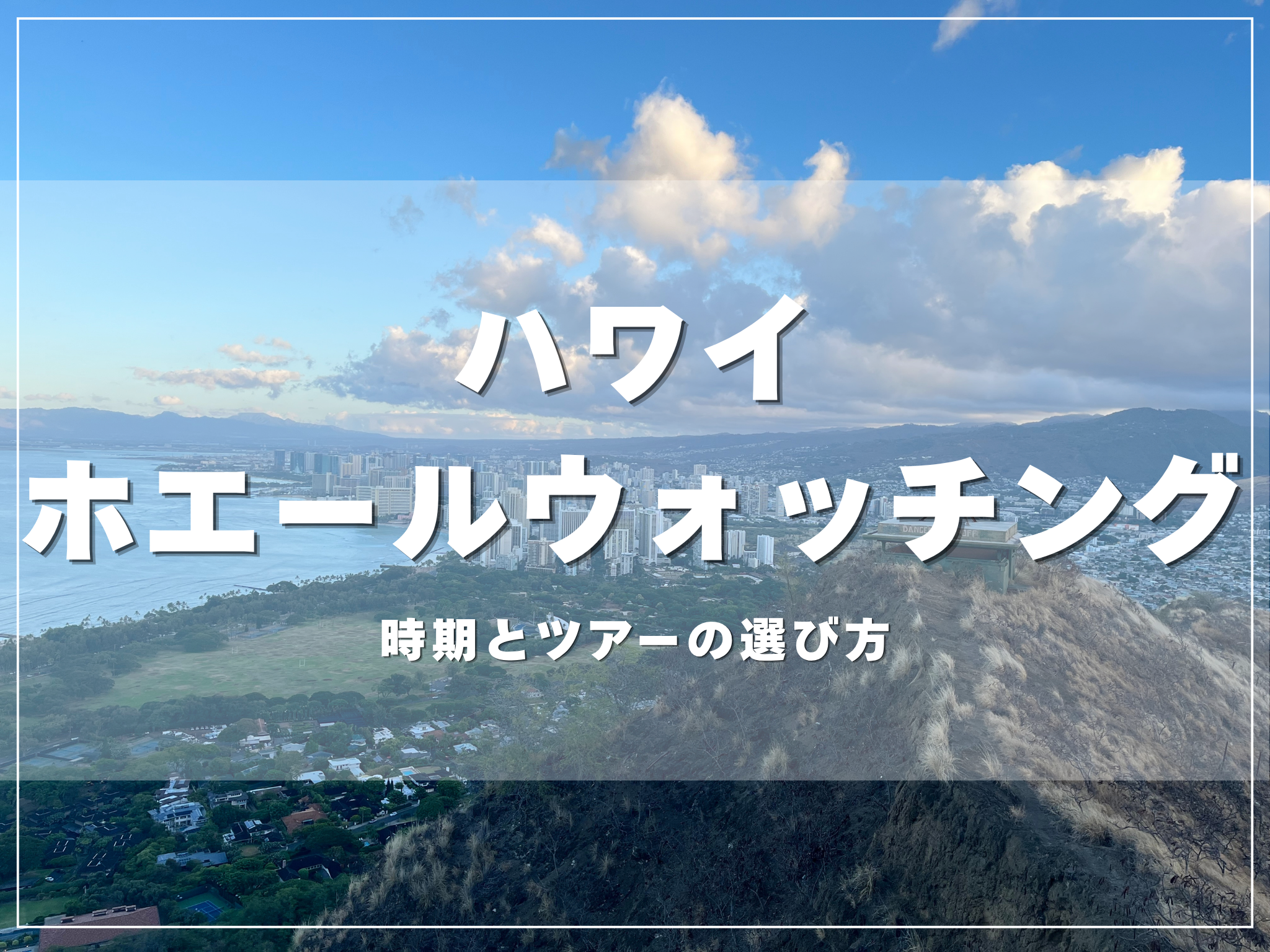 ハワイのホエールウォッチングはいつ行ける？のアイキャッチ画像